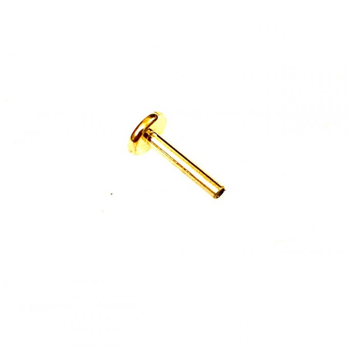 labret titane gold vissage interne