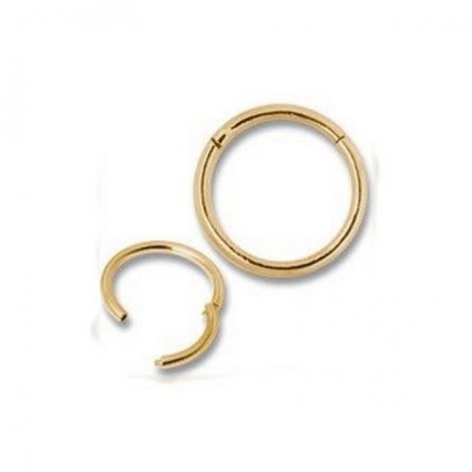 segment clipable gold